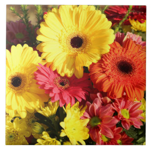 Yellow Red Gerbera Chrysanthemum Flowers Tile