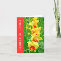 YELLOW & RED GLADIOLUS/ HAPPY BIRTHDAY