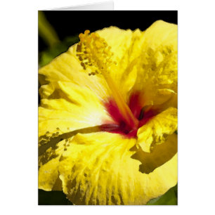Yellow/Red Hibiscus Card