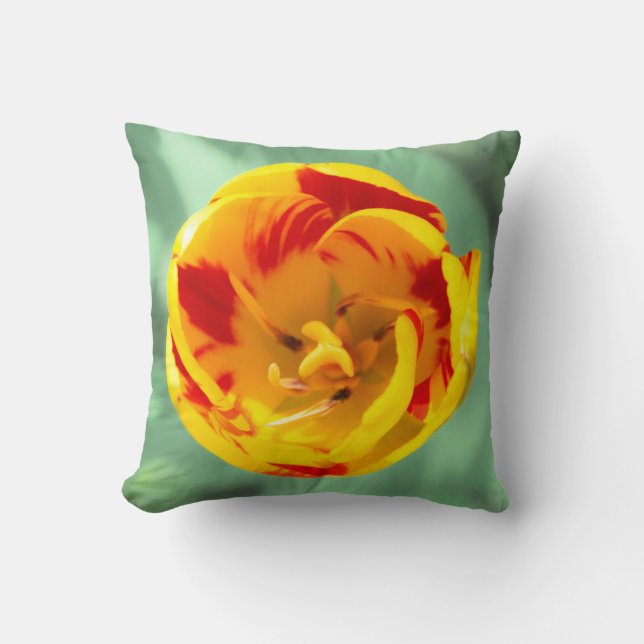 Yellow-red tulip,  cushion (Front)