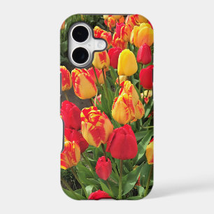 Yellow & Red Tulips