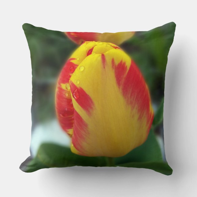 yellow red tulips cushion (Front)