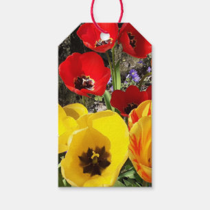 Yellow & Red Tulips Gift Tags