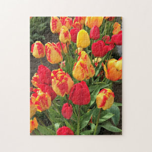 Yellow & Red Tulips Jigsaw Puzzle