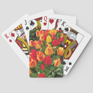 Yellow & Red Tulips Playing Cards