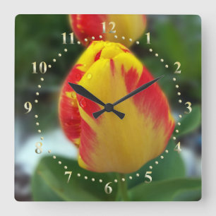 yellow red tulips square wall clock