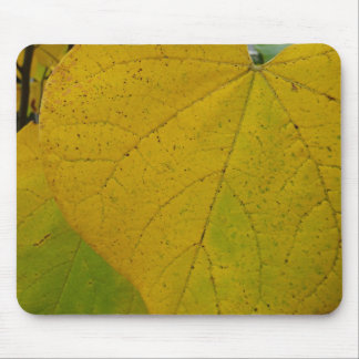 Yellow Redbud Leaves Autumn Nature Photography Mouse Pad