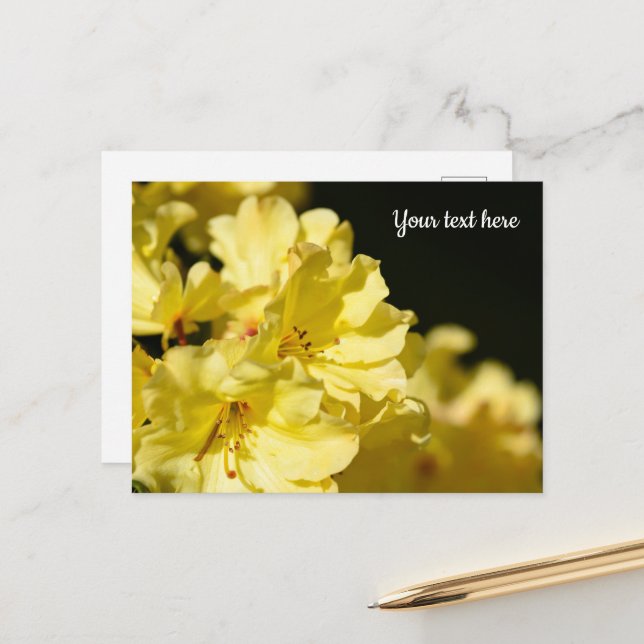 Yellow Rhododendron Postcard (Front/Back In Situ)