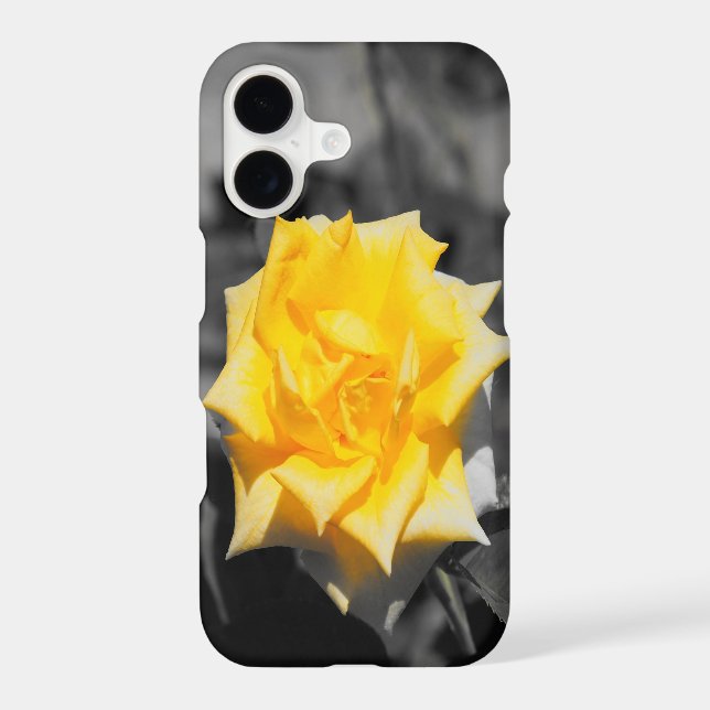 Yellow rose (Back)
