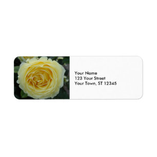 Yellow Rose