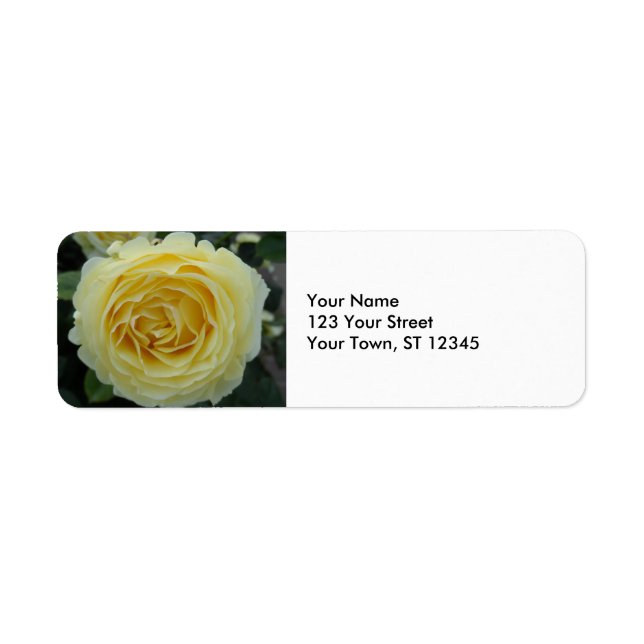 Yellow Rose (Front)