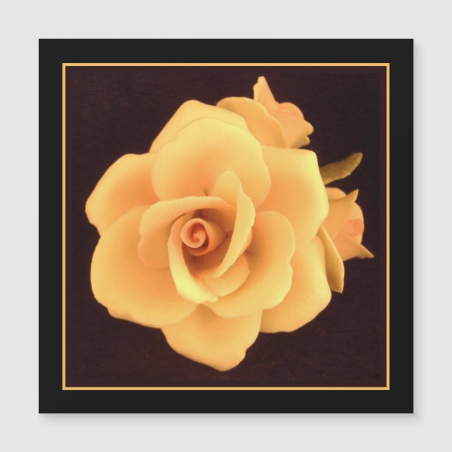 Yellow Rose, 2004 Photo. (Front)