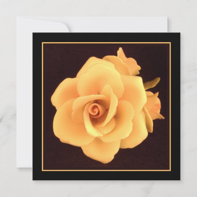 Yellow Rose, 2004 Photo. (Front)