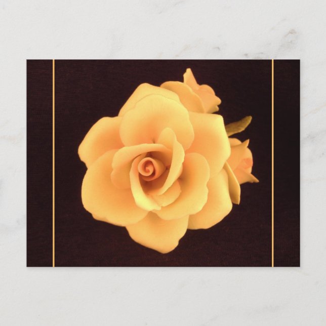 Yellow Rose, 2004 Photo. Postcard (Front)