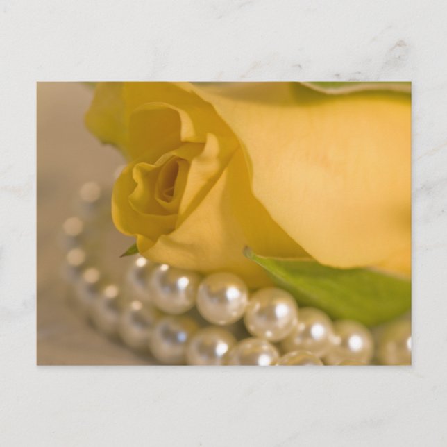 Yellow Rose and Pearls Postcard (Front)