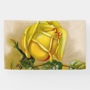 Yellow Rose Antique Vintage Print Fine Art Banner
