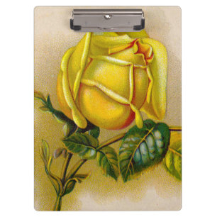 Yellow Rose Antique Vintage Print Fine Art Clipboard