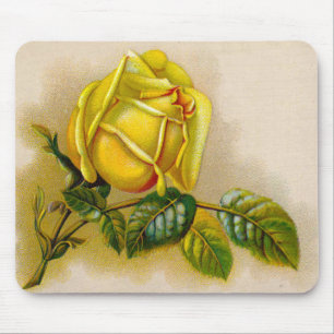 Yellow Rose Antique Vintage Print Fine Art Mouse Pad