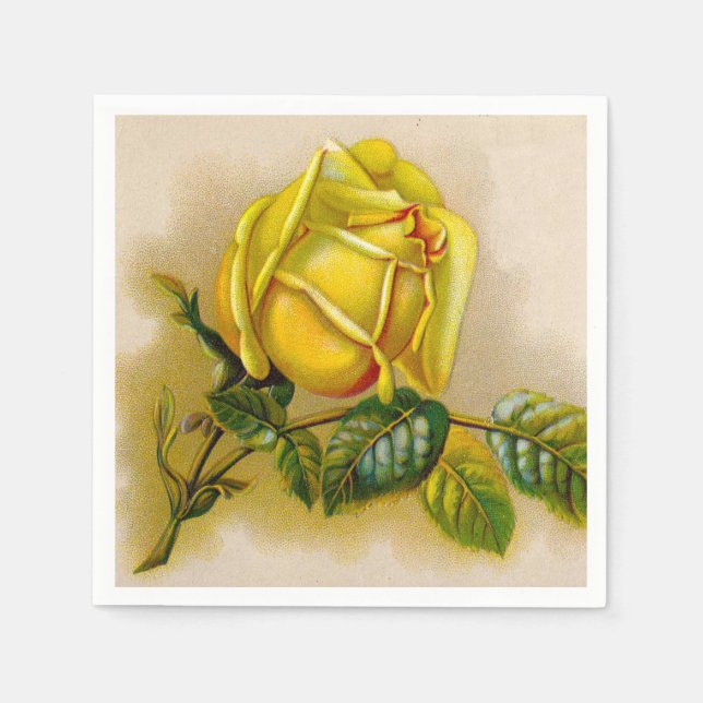 Yellow Rose Antique Vintage Print Fine Art Napkin (Front)