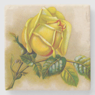Yellow Rose Antique Vintage Print Fine Art Stone Coaster
