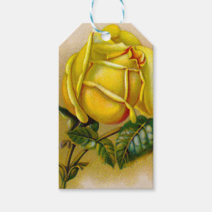Yellow Rose Artwork Print Fine Art Gift Tags