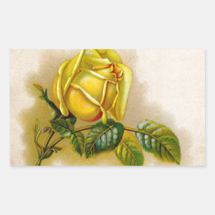 Yellow Rose Artwork Print Fine Art Rectangular Sticker