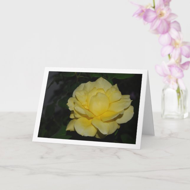 Yellow Rose at Night Portrait Card (Orchid)