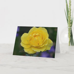 Yellow Rose Blank Greeting Card