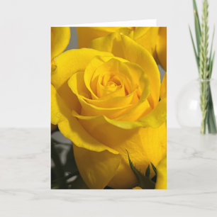 Yellow Rose Blank Note Card