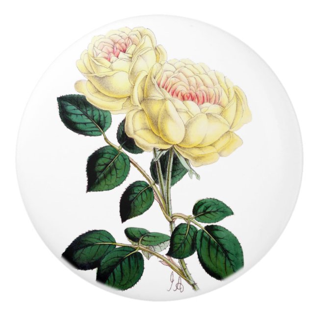 Yellow Rose Bloom Ceramic Knob (Front)