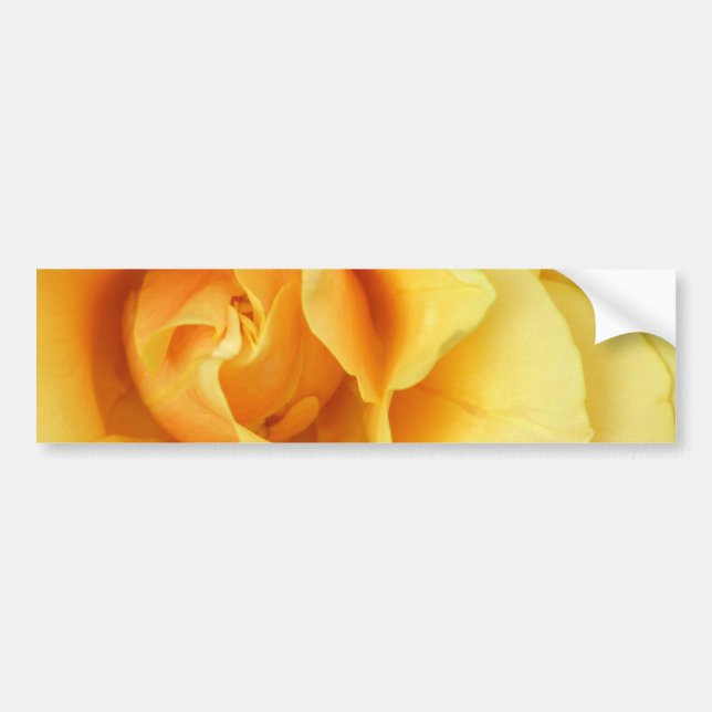 Yellow Rose Blossom Bumper Sticker (Front)
