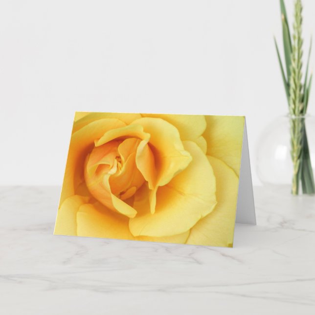 Yellow Rose Blossom Greeting Card (Front)