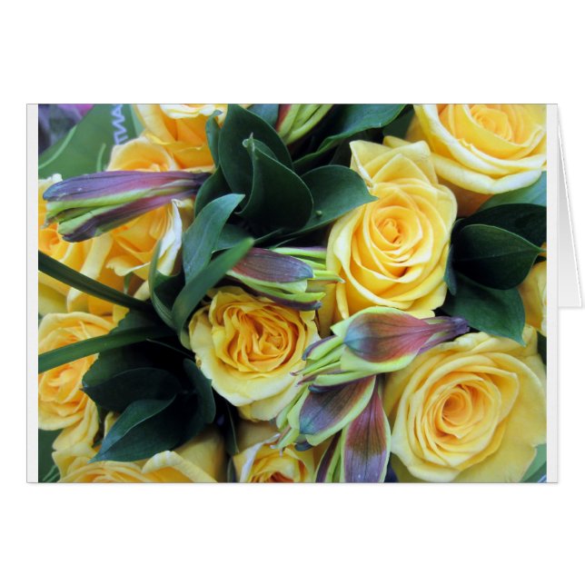 Yellow Rose Buds (Front Horizontal)