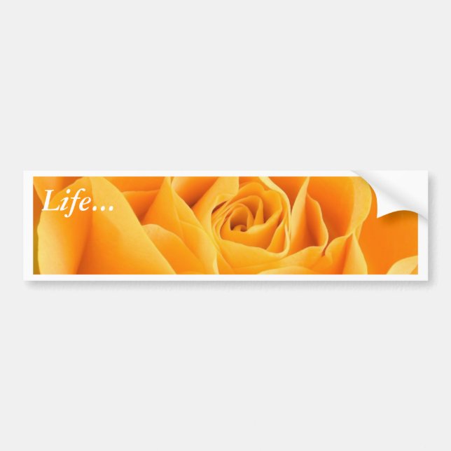 Yellow Rose Bumper Sticker (Front)