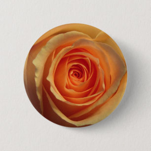 Yellow Rose Button