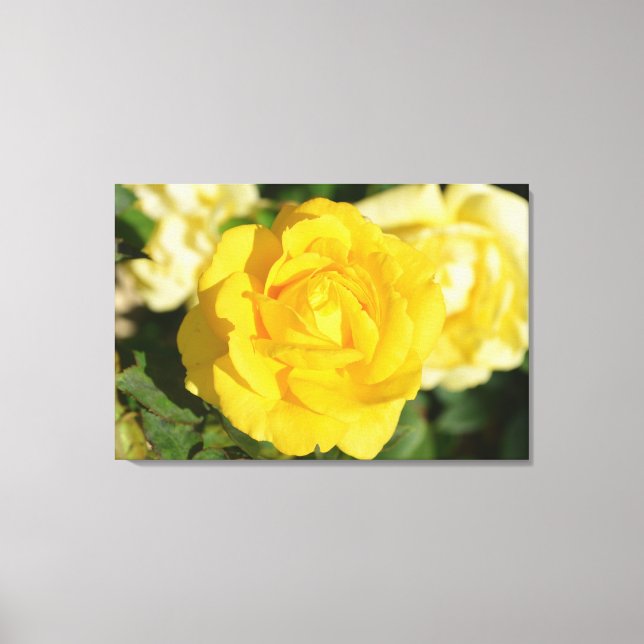 Yellow rose canvas print (Front)