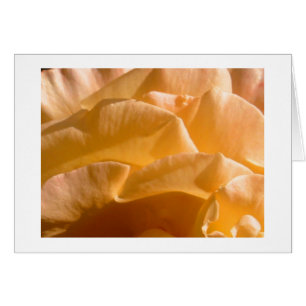 Yellow Rose Card