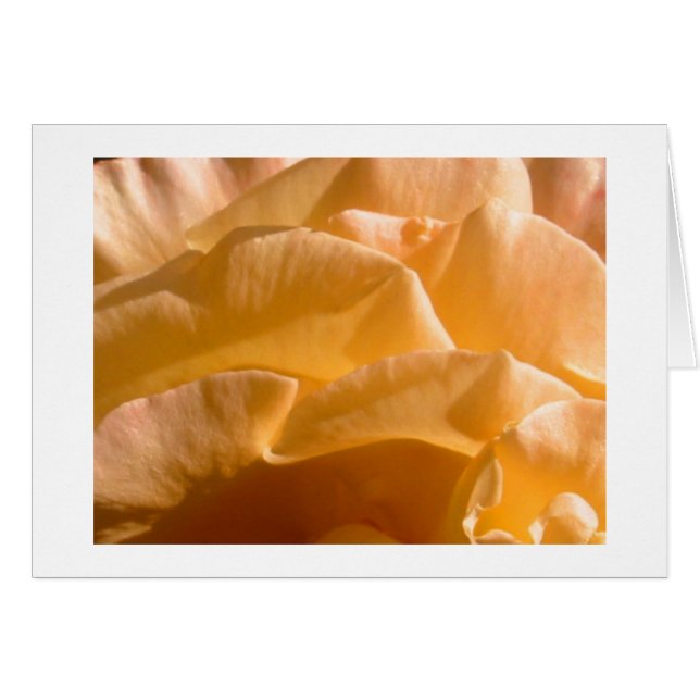 Yellow Rose Card (Front Horizontal)