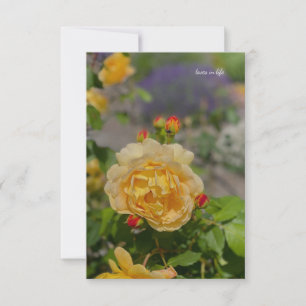 Yellow Rose Card