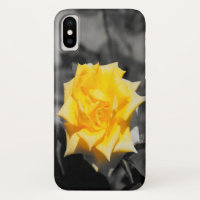 Yellow rose
