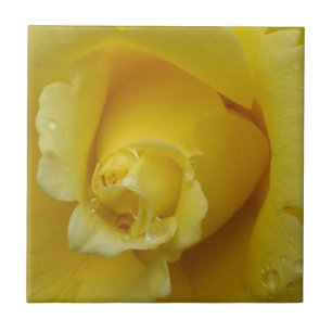 Yellow rose ceramic tile