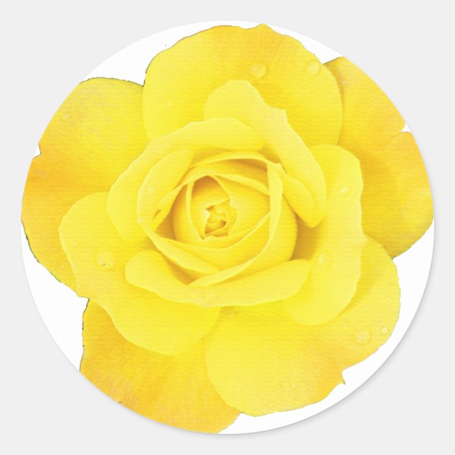 Yellow Rose Choose Background Colour Blank Floral Classic Round Sticker (Front)