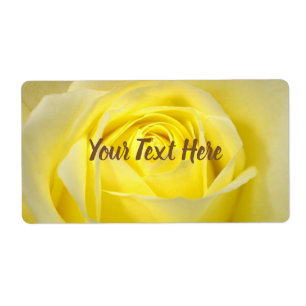 Yellow Rose Closeup