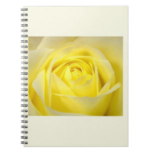 Yellow Rose Closeup Notebook