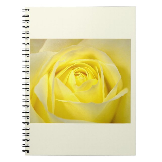Yellow Rose Closeup Notebook (Front)