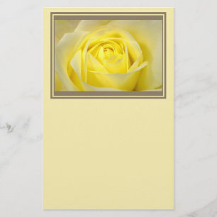 Yellow Rose Closeup Stationery