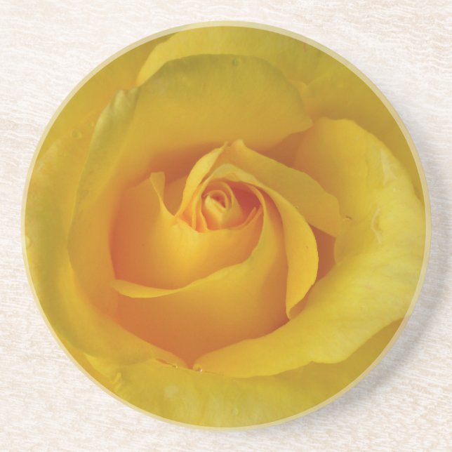 Yellow Rose Coasters Sunny Rose Gifts Keepsake Dec (Front)