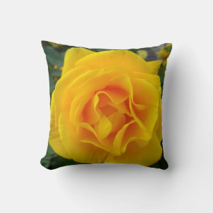 Yellow Rose Cushion