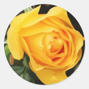 'Yellow Rose' Envelope Seal