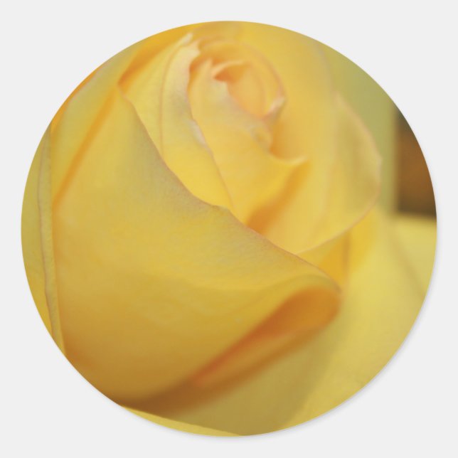 Yellow Rose Envelope Seal Stickers (Front)
